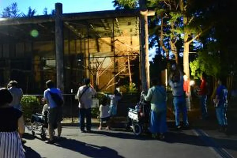 2022年度円山動物園ハーティナイト(札幌市)| Domingo -ドミンゴ-