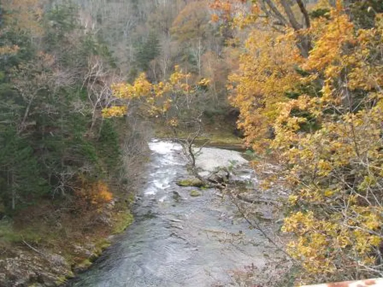 金山渓谷あ 金山渓谷】アクセス・営業時間・料金情報 - じゃらんnet