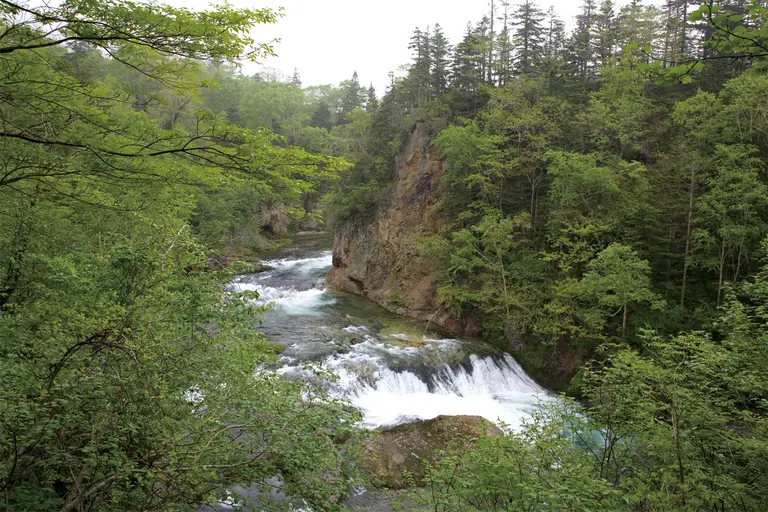 金山渓谷（標津町）| Domingo -ドミンゴ-
