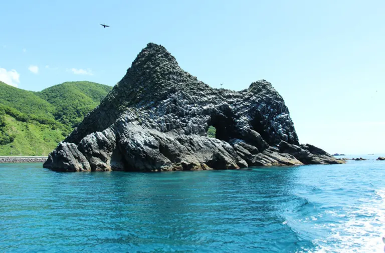 一枚岩のこんな珊瑚岩は２度と無いと思います！ 是非このチャンスにどうですか？ 日本海に突如現れる謎の岩 | 来ちゃいなよ。ゆざまち