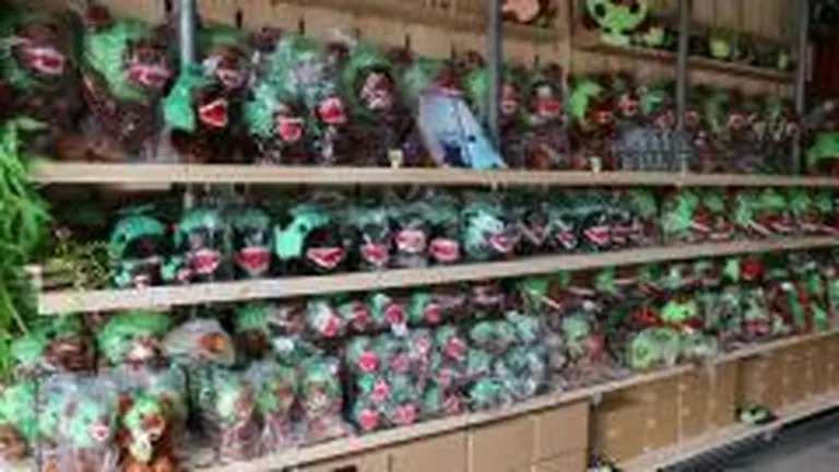 メロン熊 ソフビ 怪獣 ワカサ観光物産 メロン熊 ソフビ 怪獣 ワカサ観光物産 メロン熊 ソフビ 怪獣