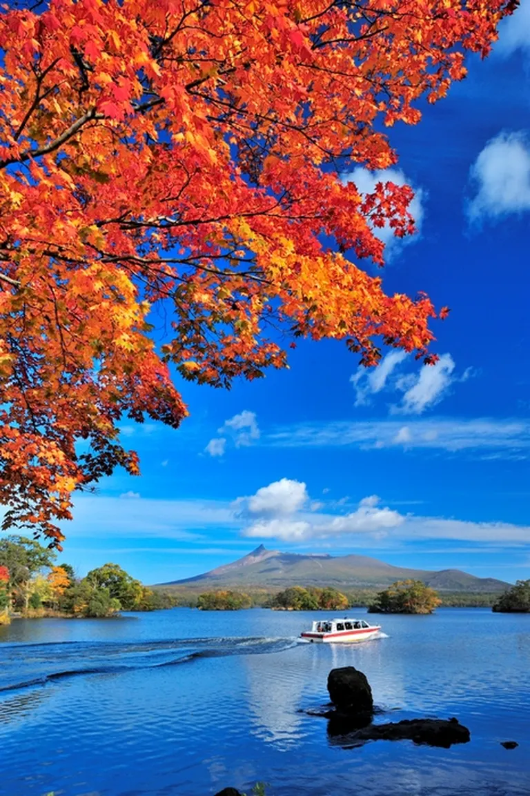 大沼 大沼国定公園（七飯町）| Domingo -ドミンゴ-