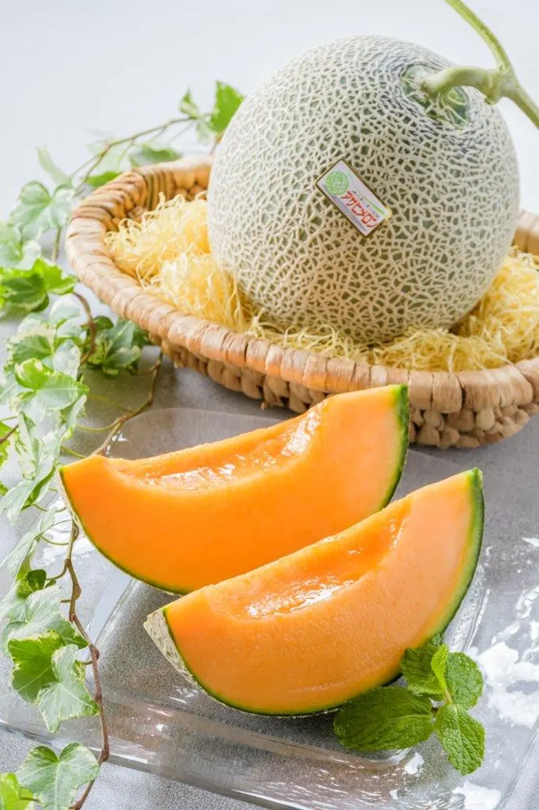 ジューシーで爽やかな甘みがたまらない！安平町育ちの「アサヒメロン