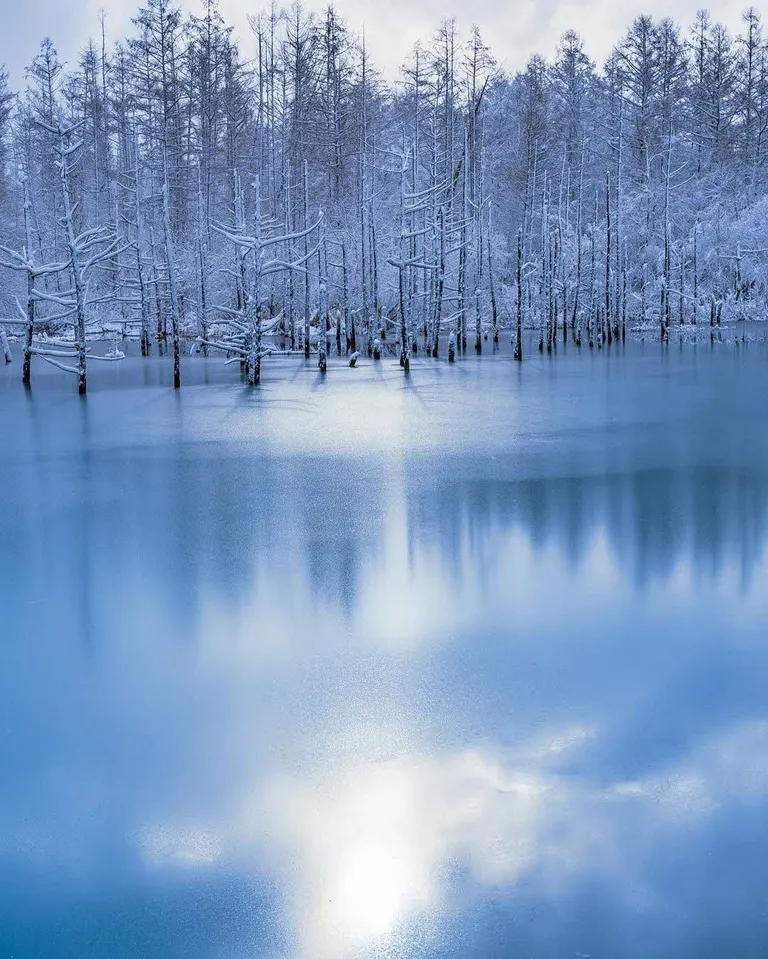 雪の白と青い水面のコントラストが美しい冬の表情。「美しく凍る 「青い