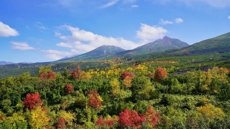 Top 10 Autumn Foliage Spots In Asahikawa Kamikawa Biei 2025 Edition top-10-autumn-foliage-spots-in-asahikawa-kamikawa-biei-2025-edition