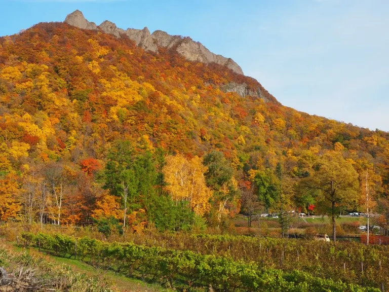 北海道代表性賞楓區札幌定山溪5大絕景景點精選！｜Domingo