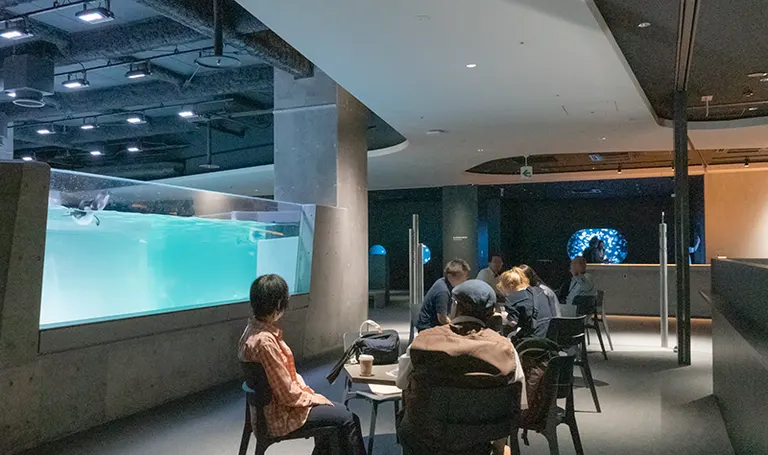 aoao様ご確認ページ