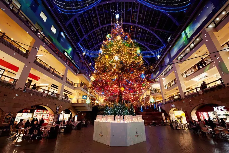 2025年最新】サッポロファクトリーのクリスマスツリー点灯式が11月1日