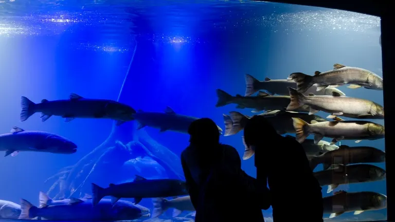 世界&日本初で魅せる!そしてバズる!「北の大地の水族館」のここにしかない魅力とは?|Domingo