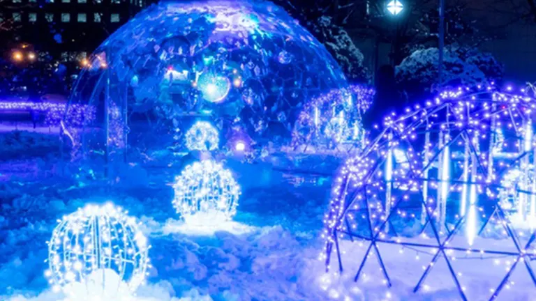 2024-2025年最新】「さっぽろホワイトイルミネーション」各会場の