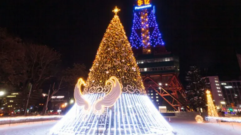 2024-2025年最新】「さっぽろホワイトイルミネーション」各会場の