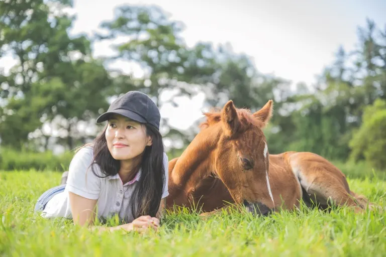 人と馬と幸せな牧場を創りたい” リアルワイルドな道東でチャレンジする