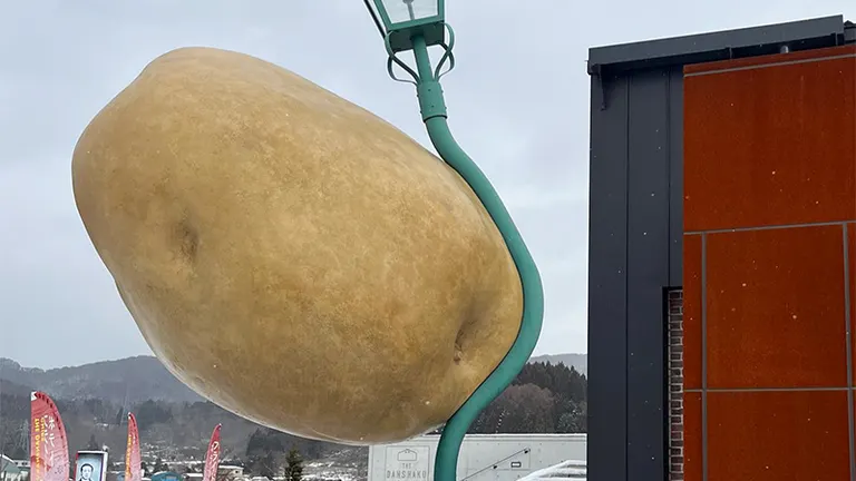 A giant potato attacked from the sky! A lamppost hit by a
