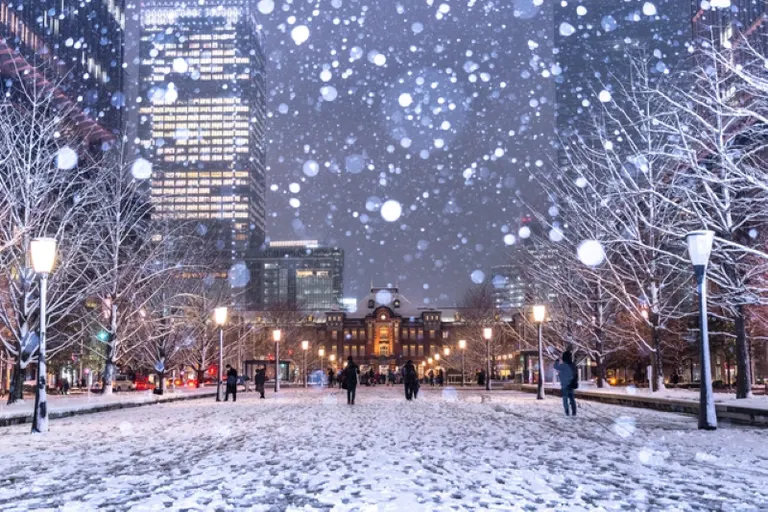 雪国 たったそれだけで大雪？SNSで「雪国マウント」が話題になる背景｜Domingo