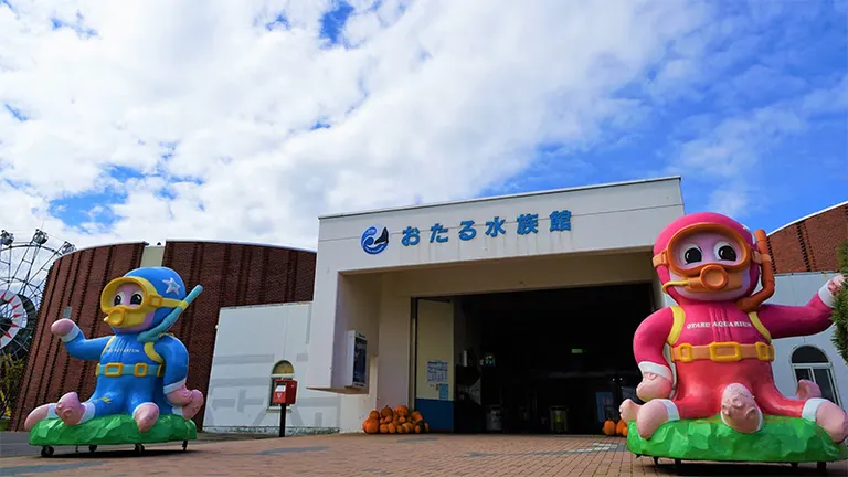 海遊館からお引越ししたアザラシのミゾレに用意された“搭乗チケット