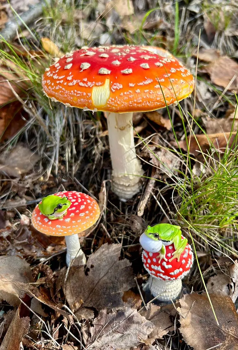 ヘンリー川原 / Shaman　DIGITAL MUSHROOM ヘンリー川原 / Shaman DIGITAL MUSHROOM $_10.JPG?set_id=2