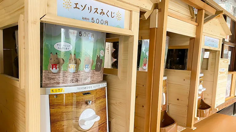 好想抽这个！北海道神宫的“虾夷松鼠神签”也太可爱了｜Domingo