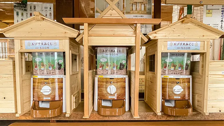 好想抽这个！北海道神宫的“虾夷松鼠神签”也太可爱了｜Domingo