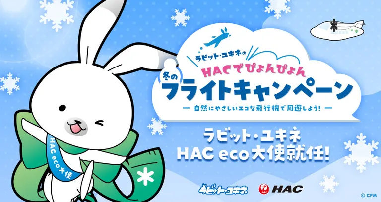 ✧︎ JapanRabbit公式アカウント00さま専用 ✧︎ JapanRabbit公式アカウント00様専用ページ - メルカリ