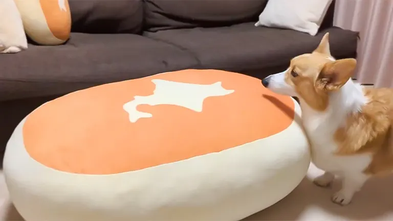 蒸しケーキの上に食パンが乗ってる…」あのふかふかチーズ蒸しケーキに