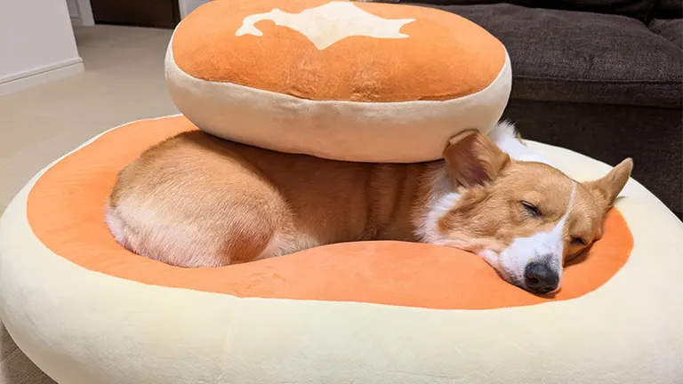 蒸しケーキの上に食パンが乗ってる…」あのふかふかチーズ蒸しケーキに
