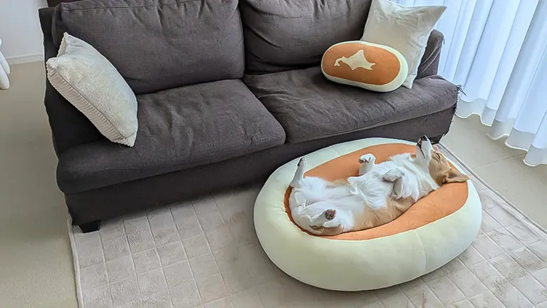 蒸しケーキの上に食パンが乗ってる…」あのふかふかチーズ蒸しケーキに