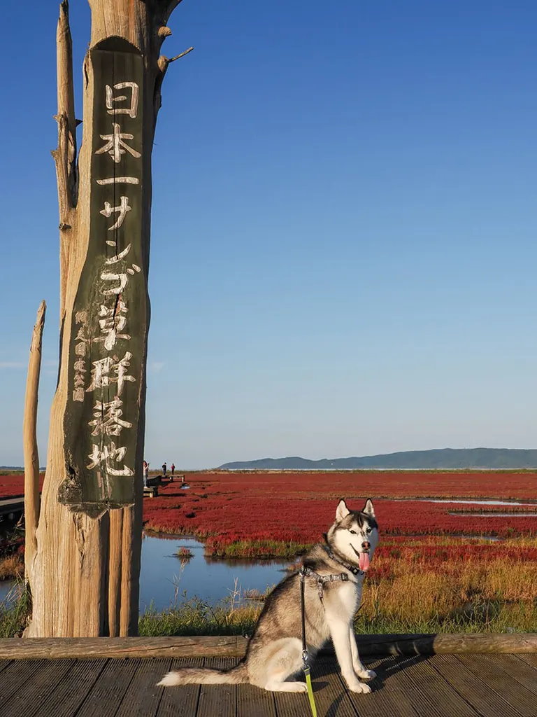 かに、デカ……」北海道の“巨大カニ爪オブジェ”のインパクトがすごすぎる