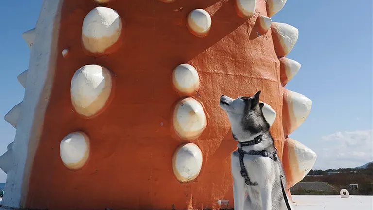 かに、デカ……」北海道の“巨大カニ爪オブジェ”のインパクトがすごすぎる