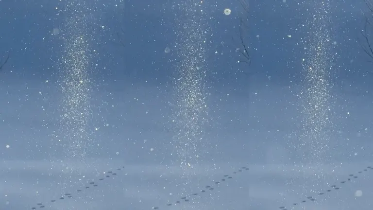 美しさに感動」空からキラキラと舞い降りるダイヤモンドダストの