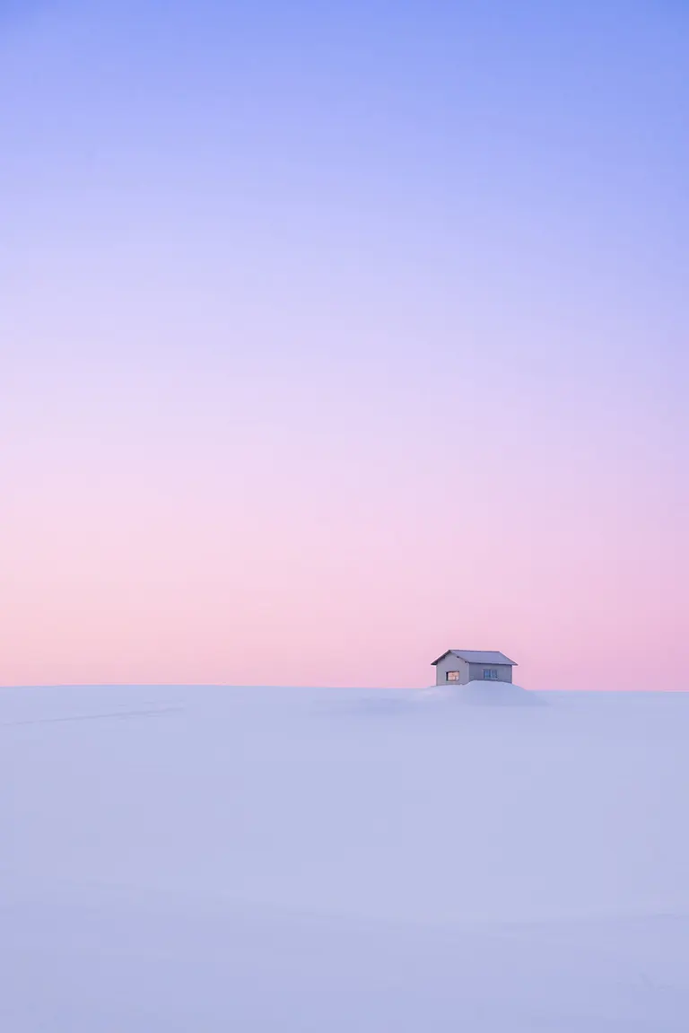 まぼろしのように綺麗」まるで絵画！美瑛町の幻想的な冬景色が話題に