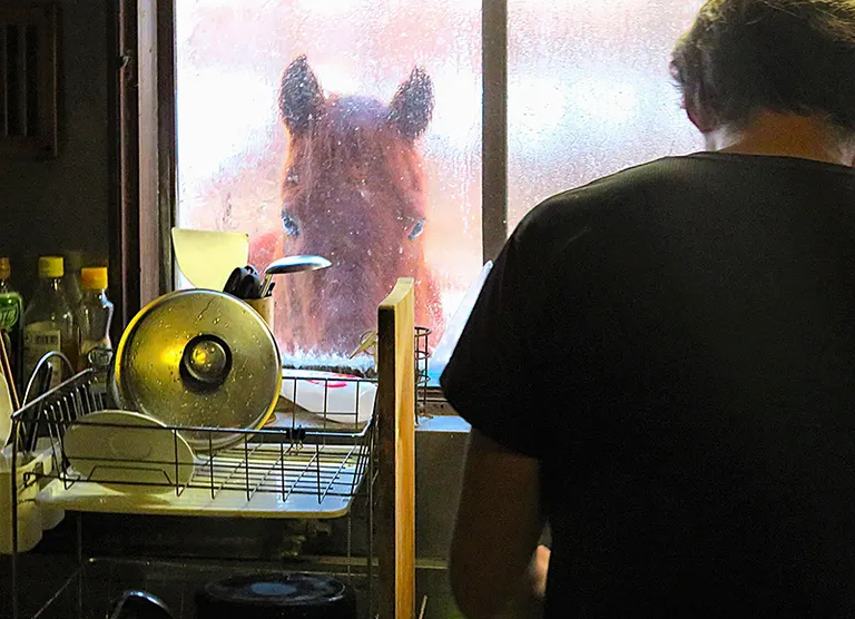 圧がすごい」ひょっこり台所を覗いてくる馬が可愛い「羨ましい景色