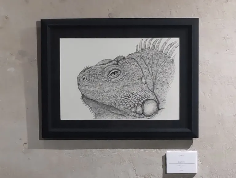 イグアナ！イグアナ！イグアナ！ 爬虫類画家・三澤柊哉初個展