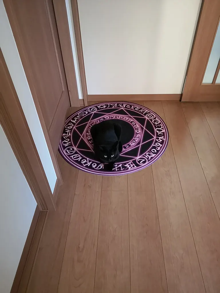ちからがほしいかニャ？」魔法陣で召喚される北海道の黒猫が話題に