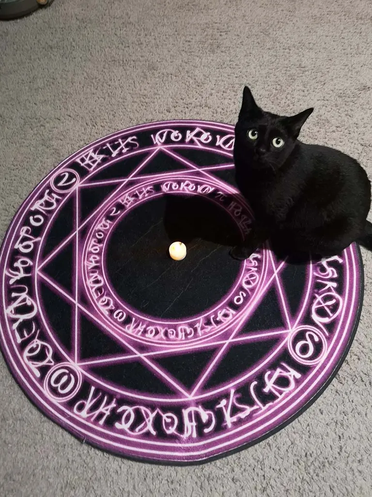 ちからがほしいかニャ？」魔法陣で召喚される北海道の黒猫が話題に