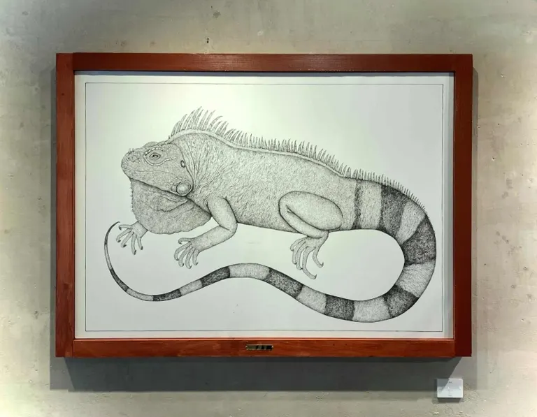イグアナ！イグアナ！イグアナ！ 爬虫類画家・三澤柊哉初個展「降鱗