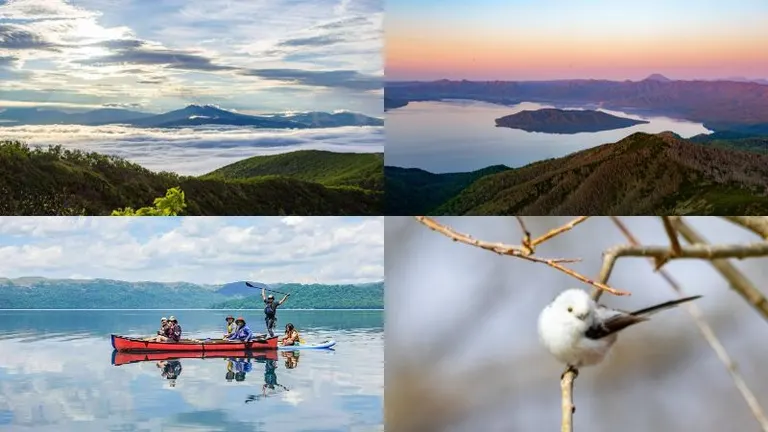 【中古】 みなみ北海道の自然誌 雲海トレッキングや屈斜路湖カヌー＆SUP、シマエナガのバード